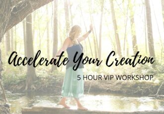 Accelerate Your Creation VIP Day